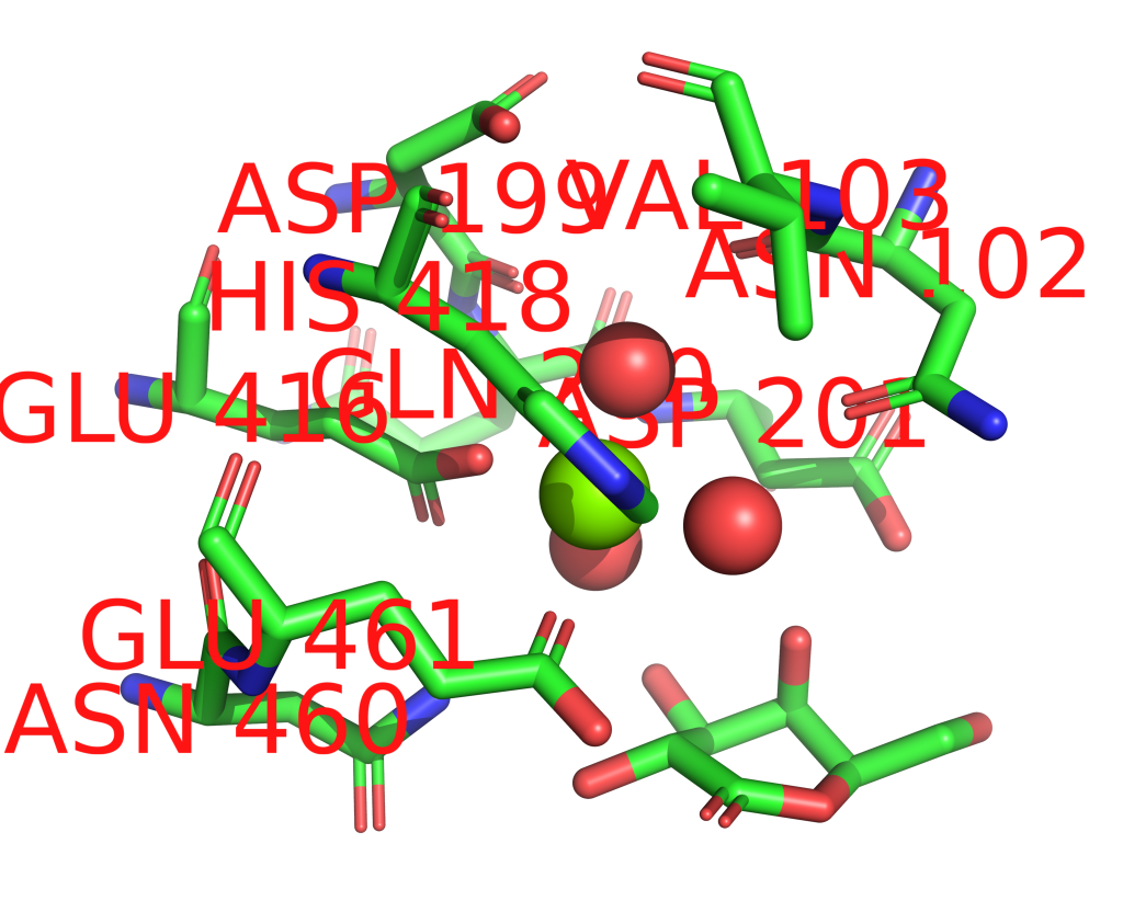 Magnesium binding site 7 out of 11 in 1jz5 Magnesium binding site 7 out of 11 in 1jz5