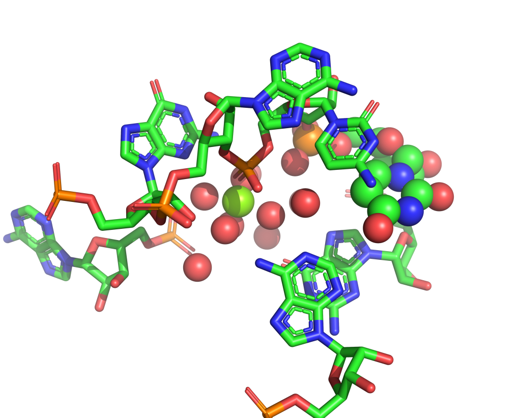 Magnesium binding site 20 out of 117 in 1m1k Magnesium binding site 20 out of 117 in 1m1k